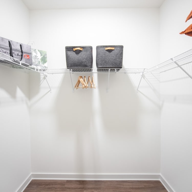 rebeccawardphoto encore model 165 scaled